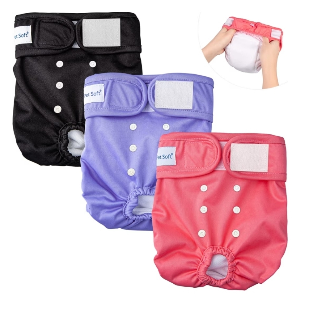 Dog Diapers - Size Large - Black, Orange, Purple